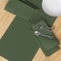 solid Bayeux olive green (4F5D44)