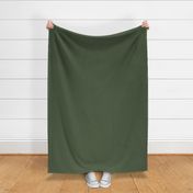 solid Bayeux olive green (4F5D44)