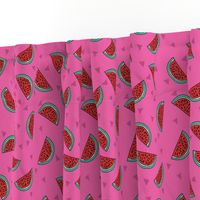 watermelon fabric // summer fruits fabric cute fruit food summer tropical design by andrea lauren - red and pink