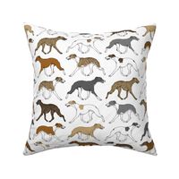 Trotting Whippet border - white