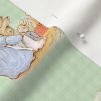 Peter Rabbit Tossed Medium Moss-Green Gingham