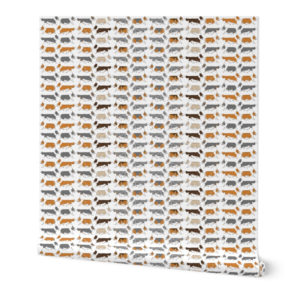 Trotting Welsh Corgi border - white