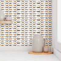 Trotting Welsh Corgi border - white