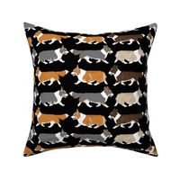 Trotting Welsh Corgi border - black