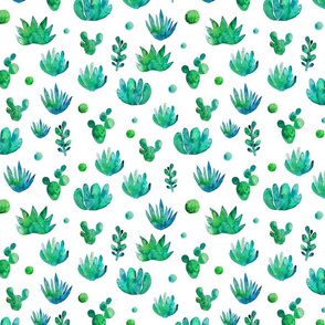succulents_pattern