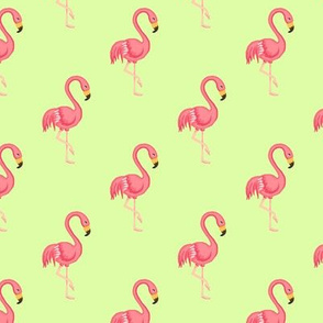 Flamingo midscale Pistachio