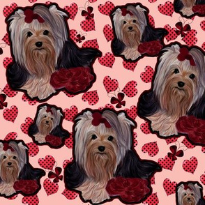 Yorkie - Rose hearts and dots - Minky