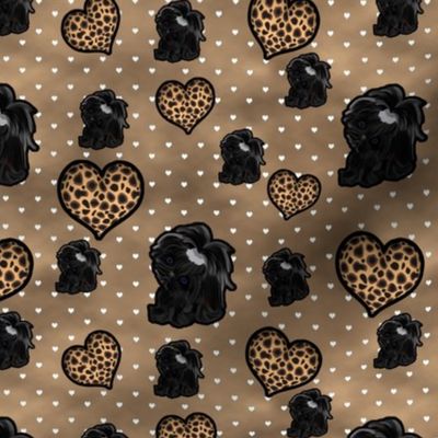 Shih Tzu - Leopard Hearts