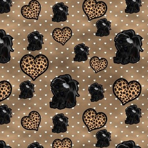 Shih Tzu - Leopard Hearts