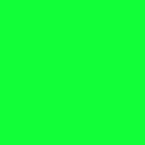 LJ - Liquid Jungle Neon Green Solid, hex code 11ff38