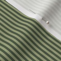 narrow olive stripes