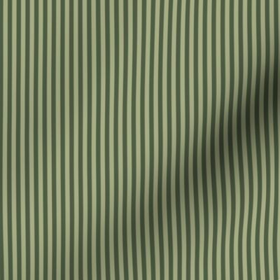 narrow olive stripes