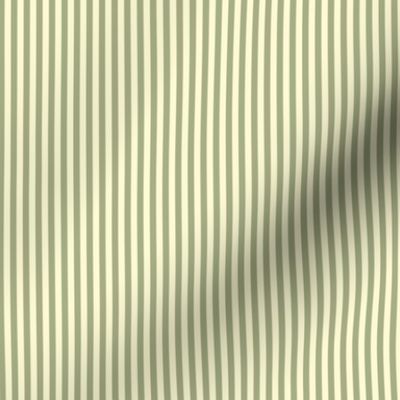 narrow sage and cream stripes