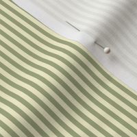 narrow sage and cream stripes