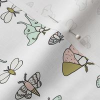Lepidoptera // by Sweet Melody Designs