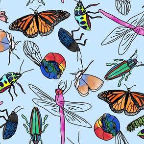 Watercolor Insects