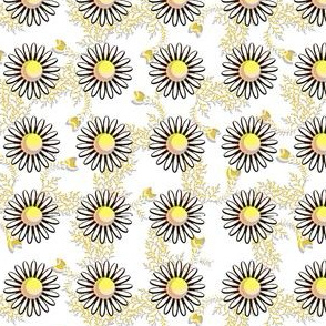 Daisies