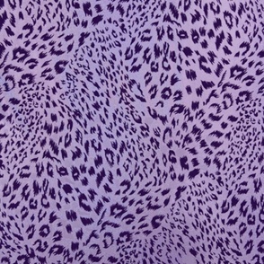 Purple Leopard 42x36