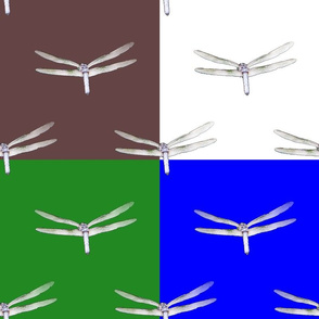 Dragonfly On 4 Colors
