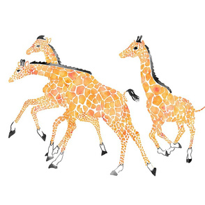 Running Giraffes