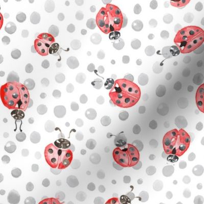 Watercolor Lady Bird ladybug ||  Spots polka dots insect gray grey white black red pink animal _ Miss Chiff Designs