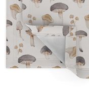 Mushroom Collection