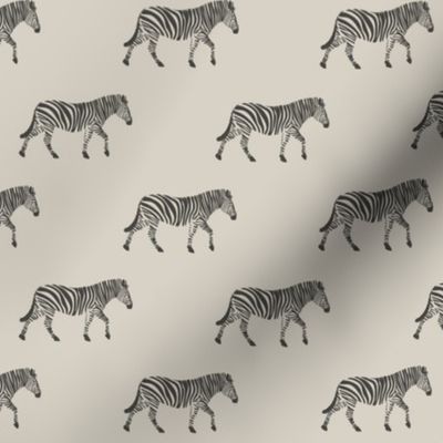 zebras on beige
