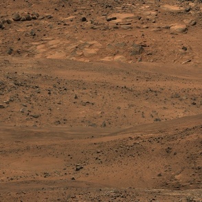 The Surface of Mars