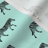 zebras on light blue