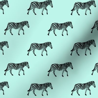 zebras on light blue