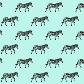 zebras on light blue
