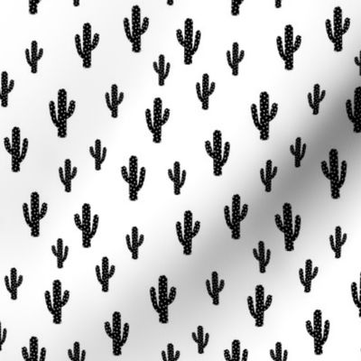 Cactus - White Background - small
