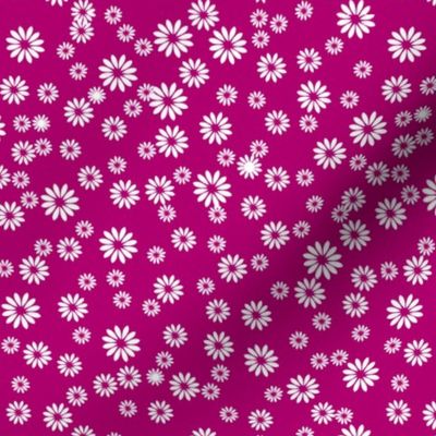 Tiny Daisies on Dark Pink