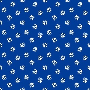 Trotting paw prints coordinate - patriotic blue