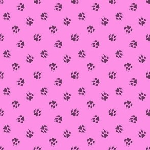 Trotting paw prints coordinate - bubble gum pink