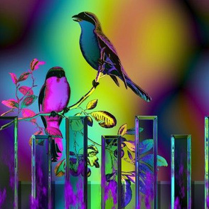 BIRDS ON A GLASS FENCE 1 FENCE pink blue GLOWING SKY