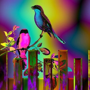 BIRDS ON A GLASS FENCE 3 fence fuchsia orange GLOWING SKY