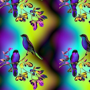 BIRDS ON A GLASS FENCE 2 bird rainbow sky PURPLE BLUE GLOWING SKY