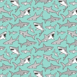 Sharks Shark Grey on Mint Green Smaller