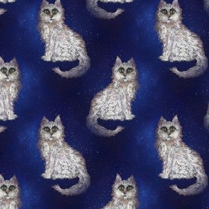 MYSTERIOUS CAT STARRY NIGHT