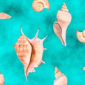 WATERCOLOR SEASHELLS ON WATERCOLOR EMERALD TEAL TURQUOISE AQUA SEA SHELL 