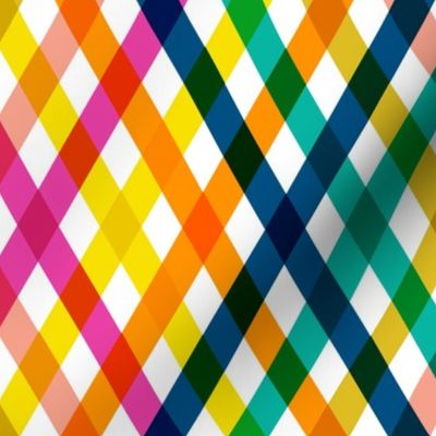 Birchdale (Multi Maxi Argyle) || diagonal rainbow striped gingham