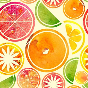 watercolour fruit