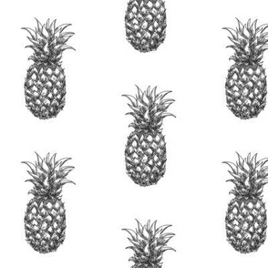 3” Pineapples - black and white - monochrome