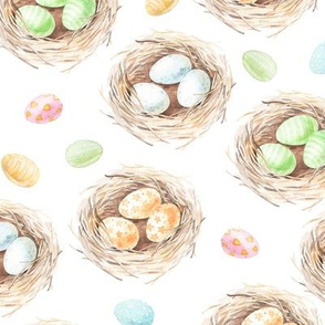 watercolor nest and eggs