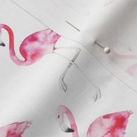 watercolor flamingo 