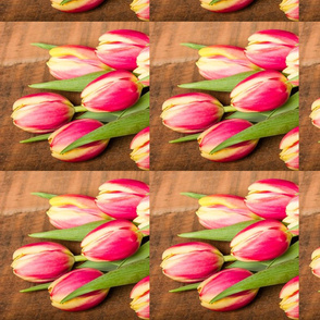 Bouquet of fresh pink and yellow tulips 