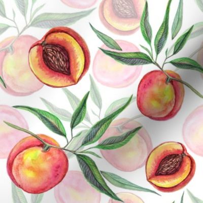 Watercolor peach  fruit