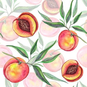 Watercolor peach  fruit