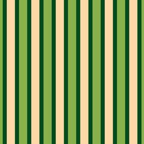 Ferny Glade Stripe - Narrow Dark Forest Green Ribbons with Cantaloupe and Ferny Green